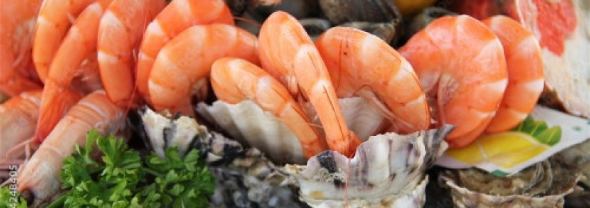 LES PLATEAUX DE FRUITS DE MER