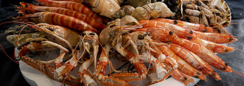 Plateaux fruits de mer