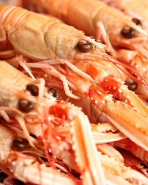 LANGOUSTINES CUITES