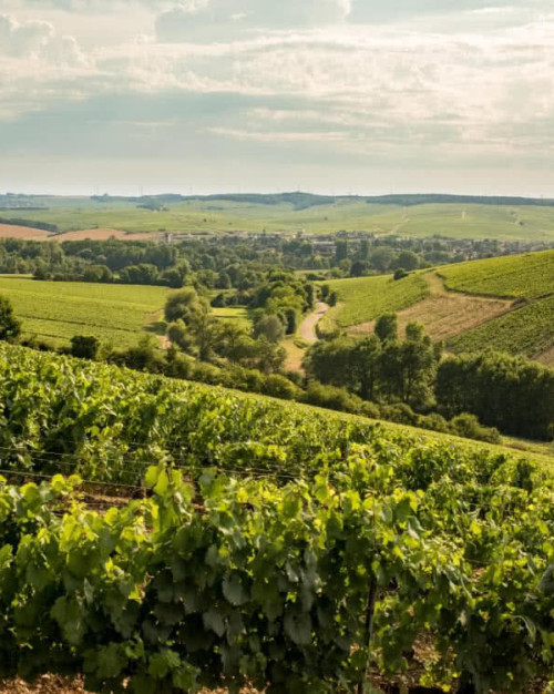 NOTRE SÉLECTION DU MOIS