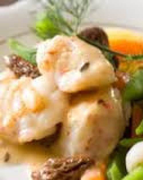 LOTTE SAUCE AUX MORILLES